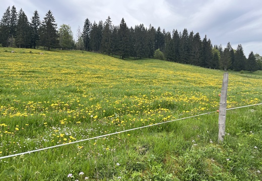 23-05-21 10-56-41 5512